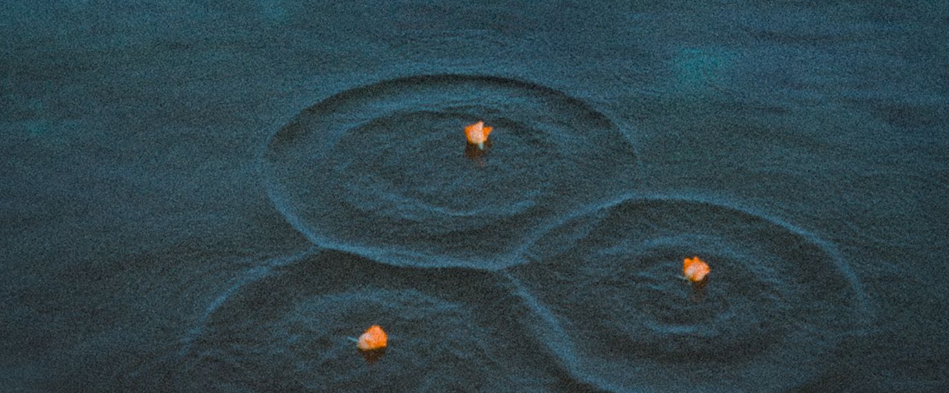 Photography by Rosalind Clarke